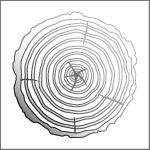 Holzschutzgutachten